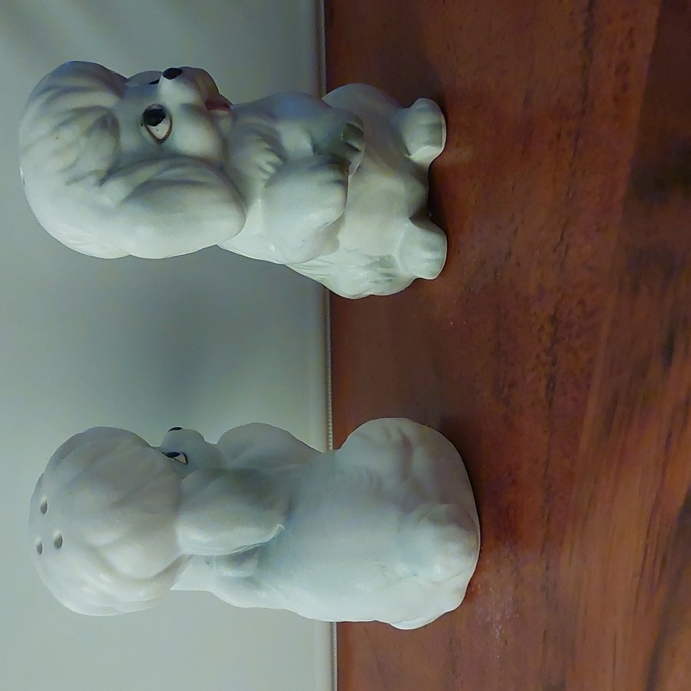 Poodle Salt & Pepper - Picture 4 of 13